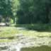 Pond